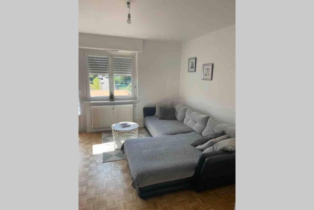 Tres Bel Appartement F4 Proche Gare Riedisheim Exterior photo